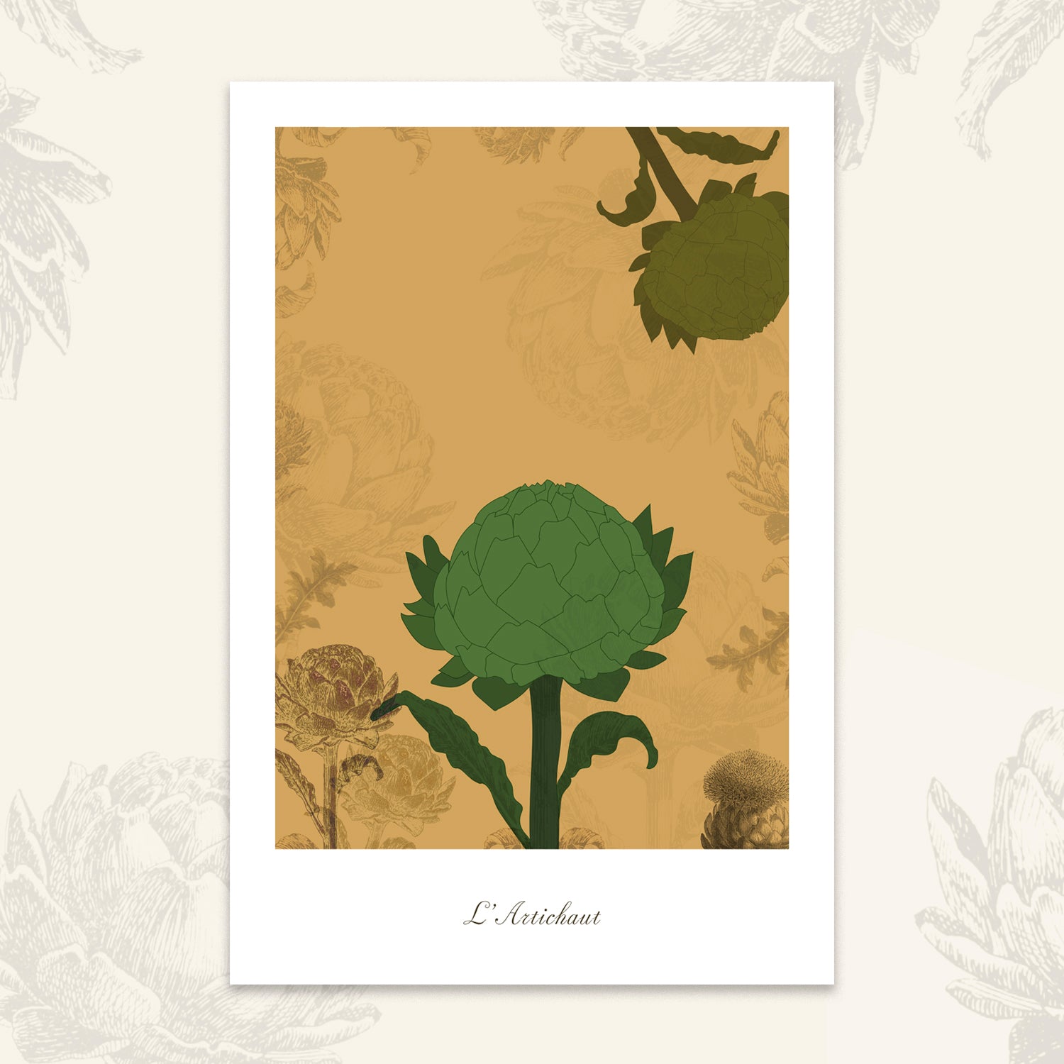 Le potager - Artichaut