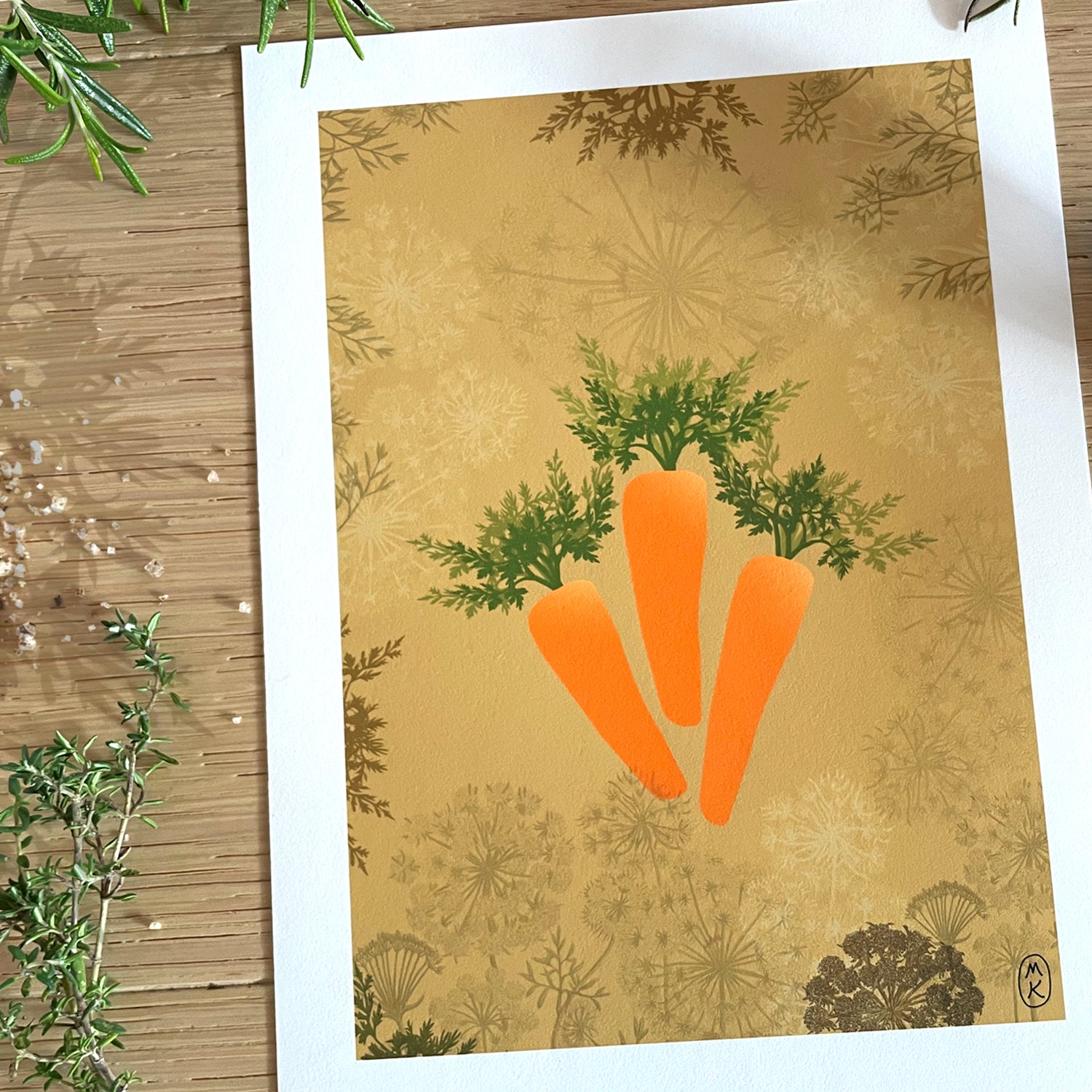 Le potager - Carottes