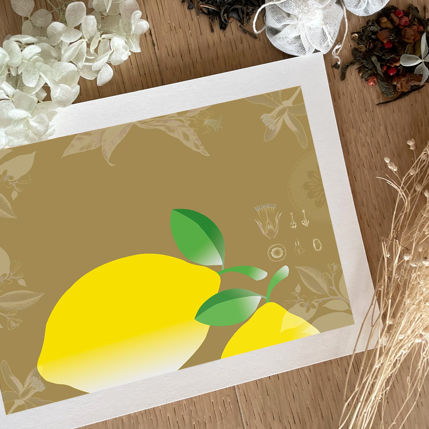 Les fruits - Citrons