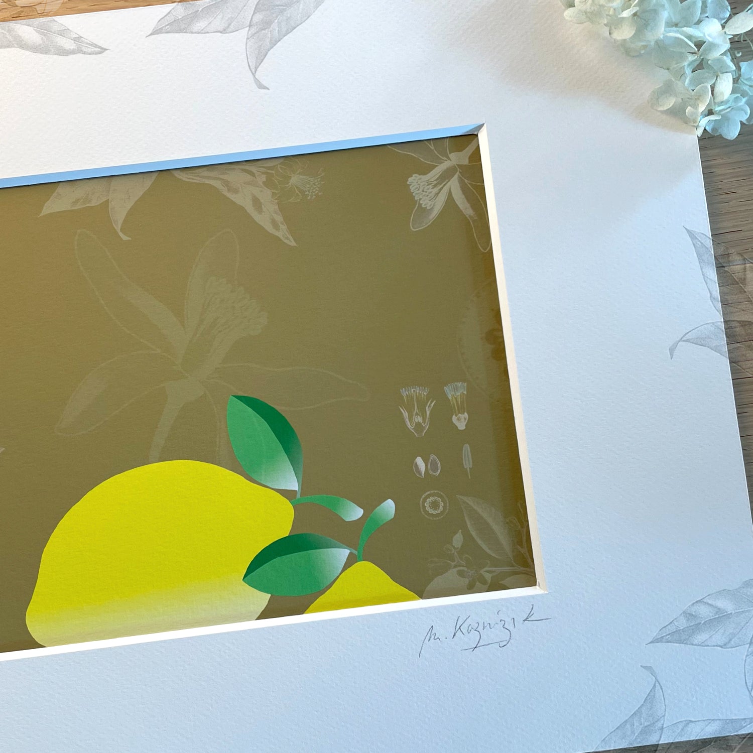 Les fruits - Citrons