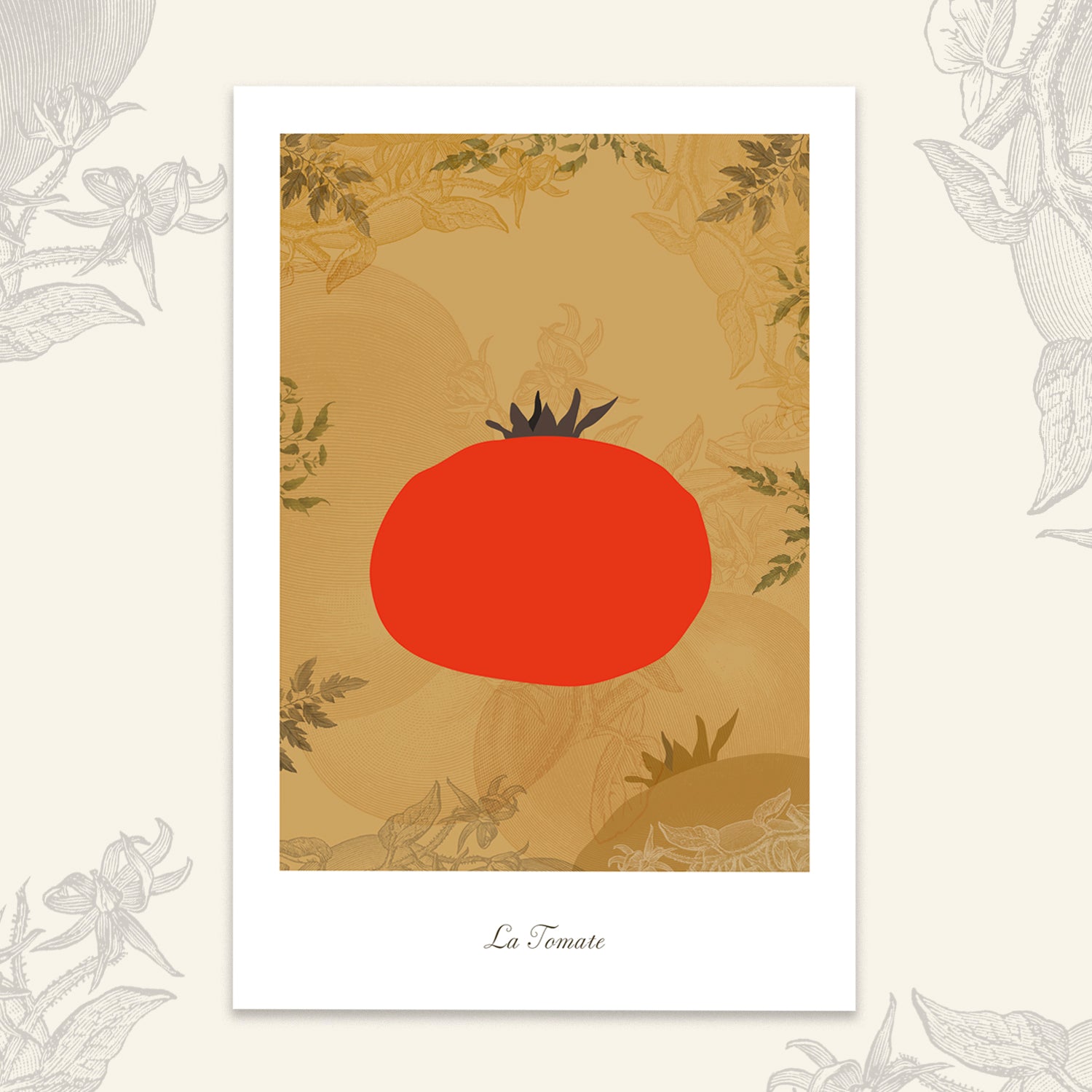 Le potager - Tomate