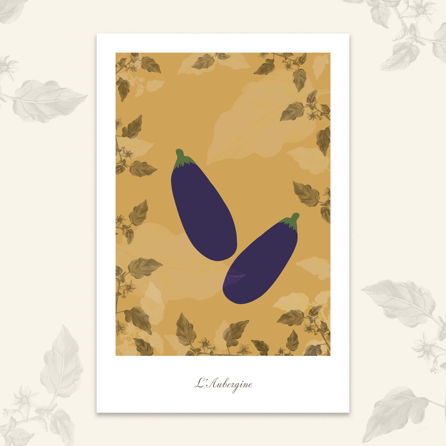 Le potager - Aubergines