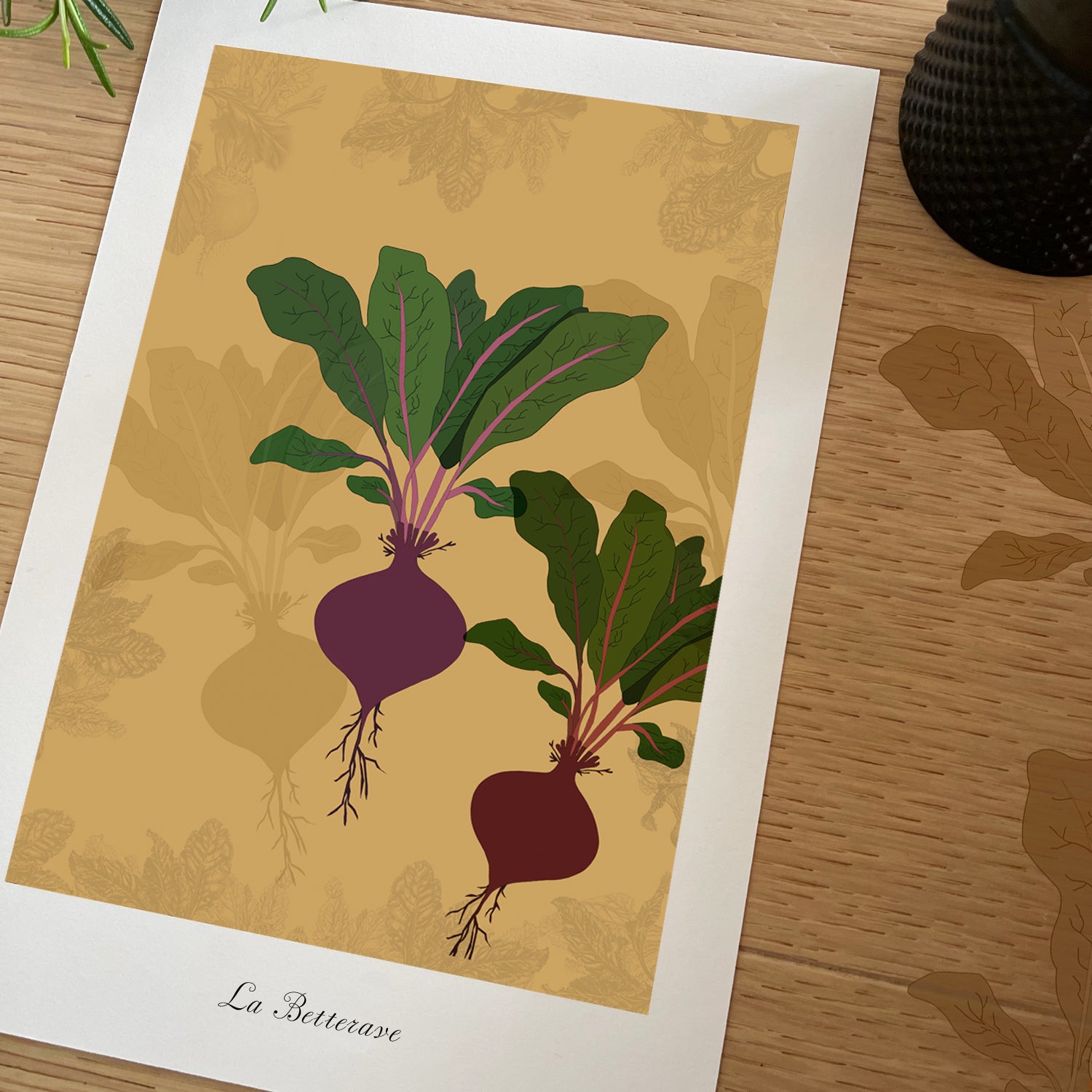 Le potager - Betterave