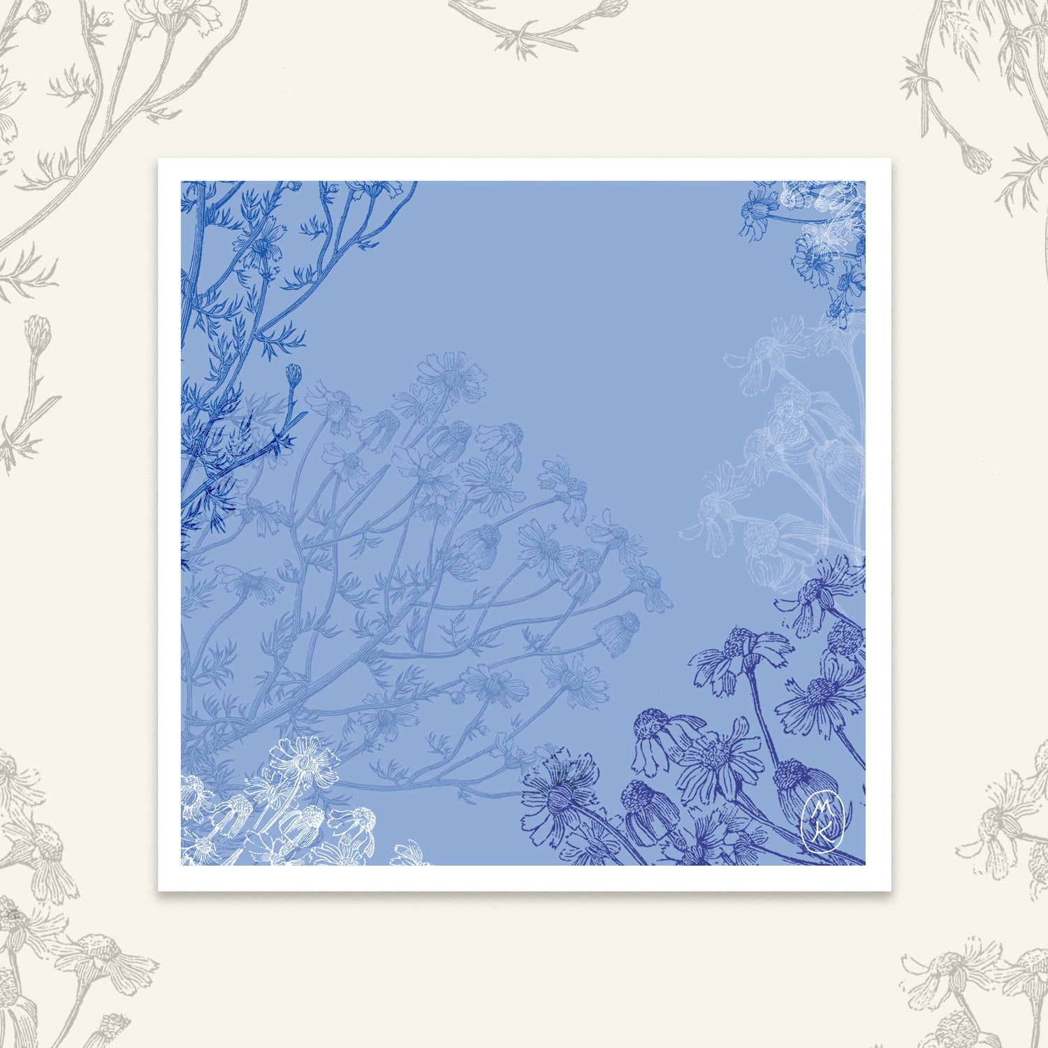 Carte Carrée - Camomille bleue
