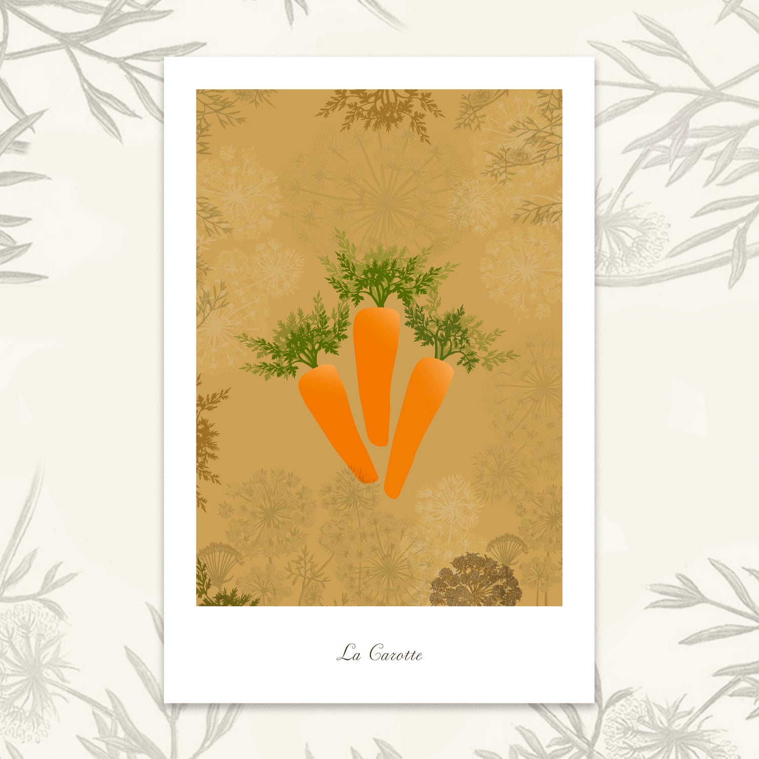Le potager - Carottes