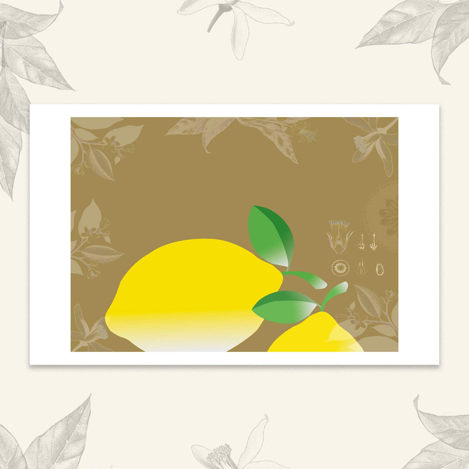 Les fruits - Citrons