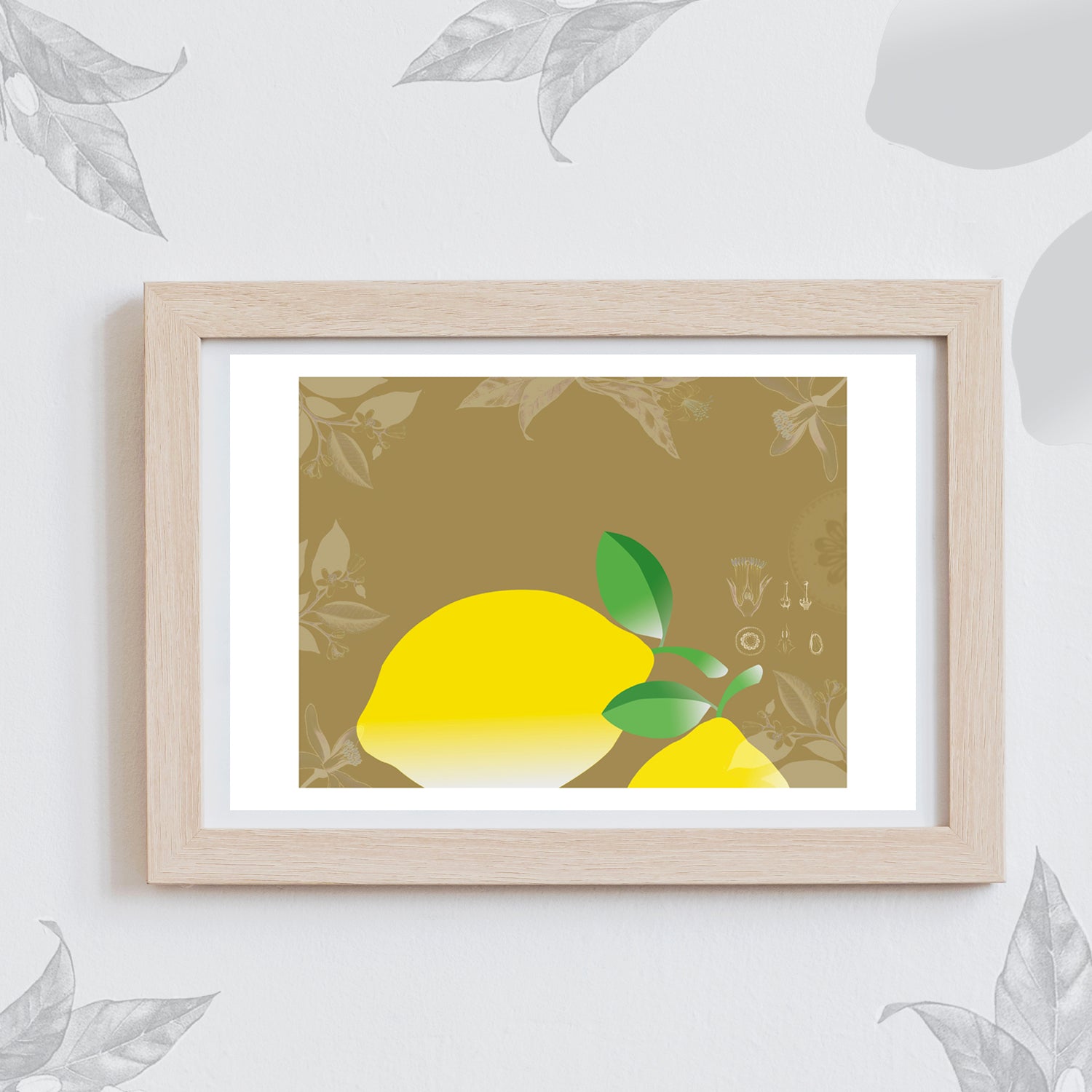 Les fruits - Citrons