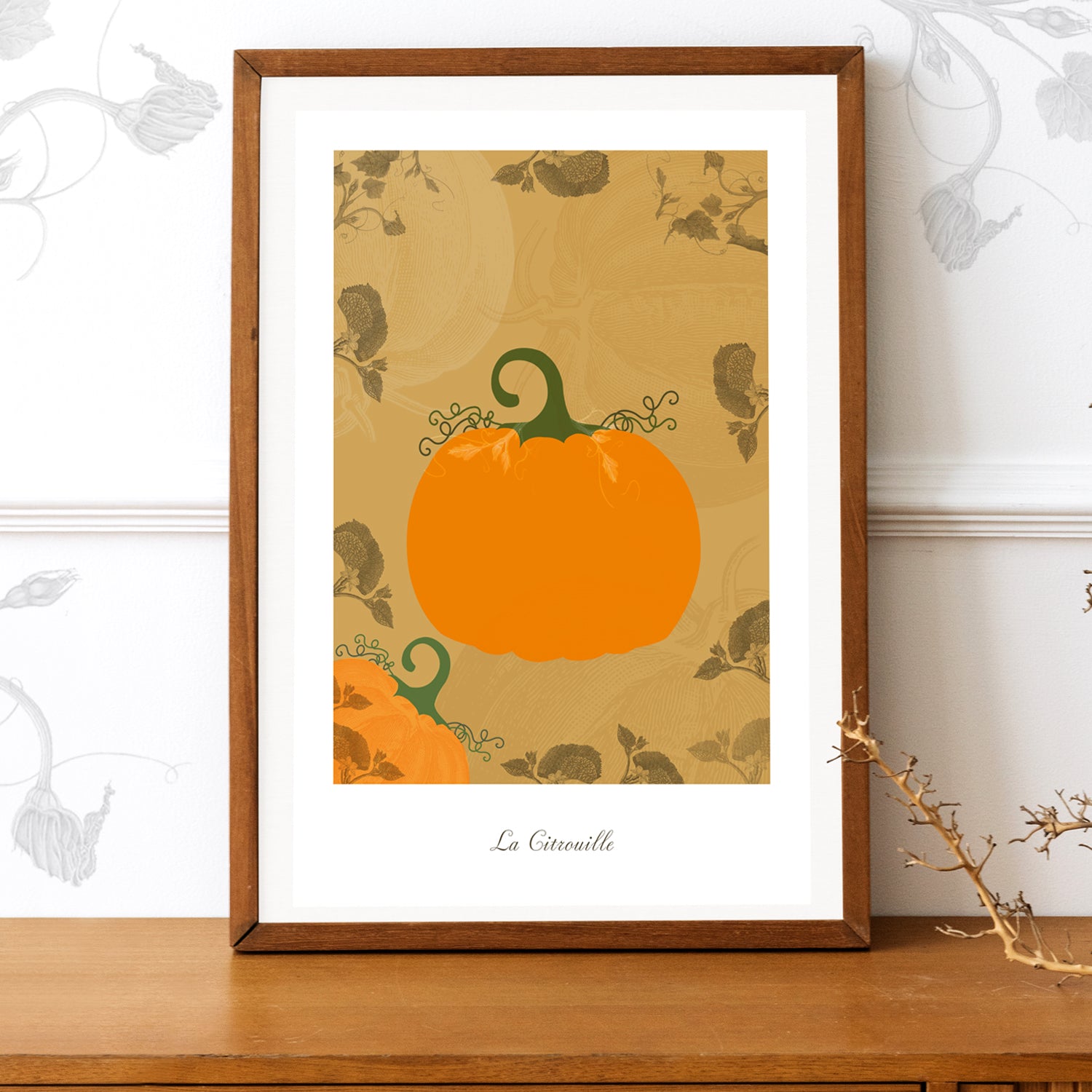 Le potager - Citrouilles