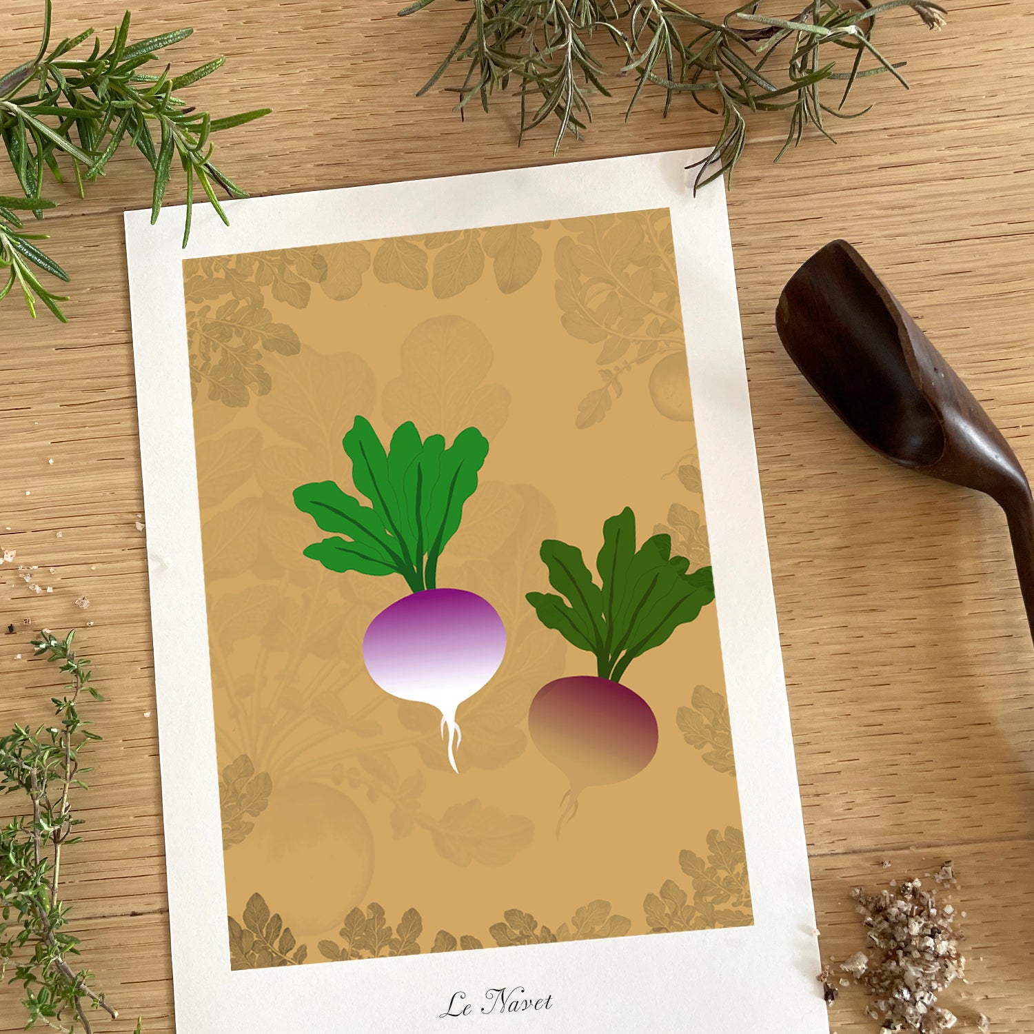 Le potager - Navets
