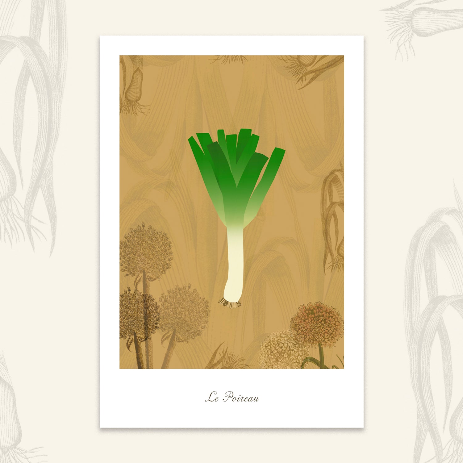 Le potager - Poireau