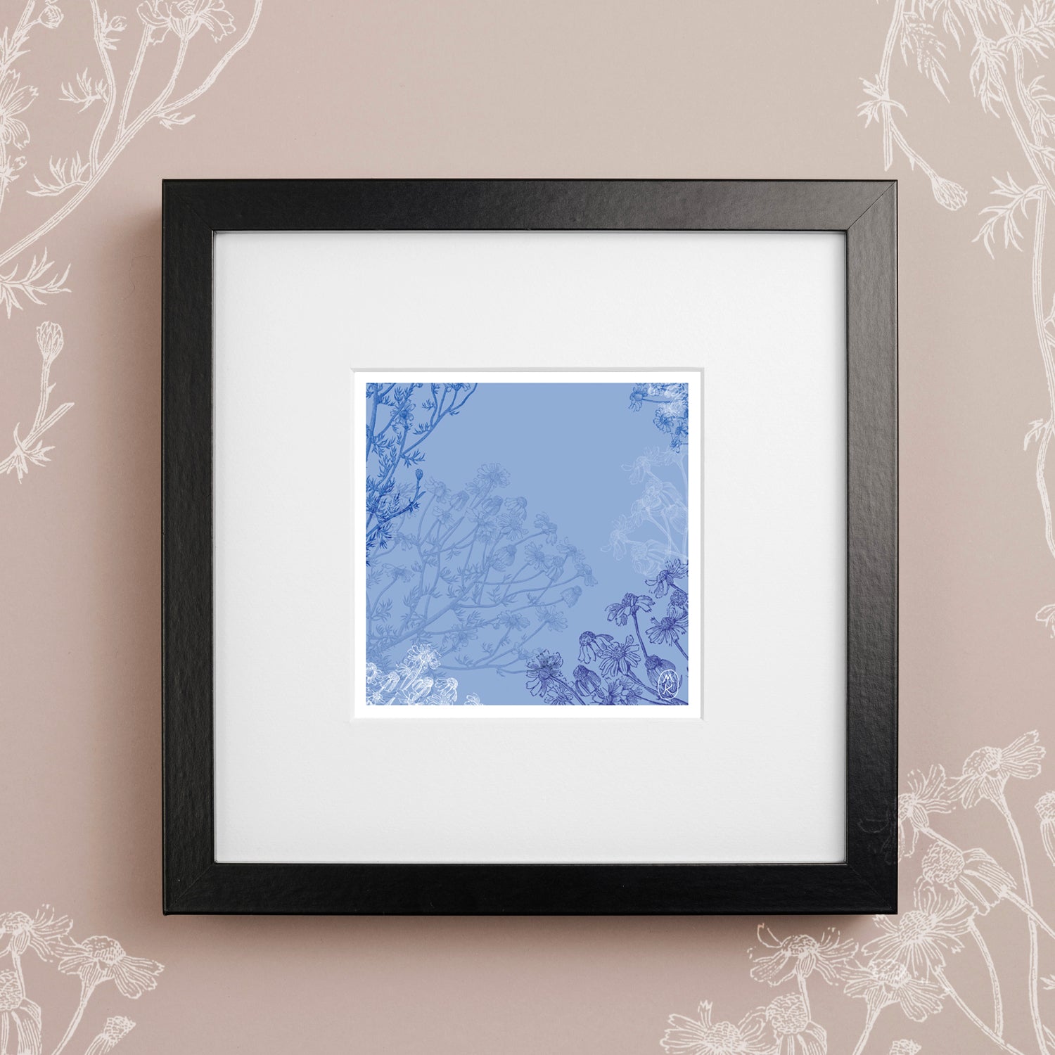 Carte Carrée - Camomille bleue