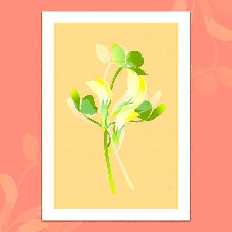 Les Bouquets — Trefle jaune, 