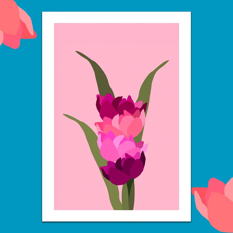 Les Bouquets — Pivoine rose, 