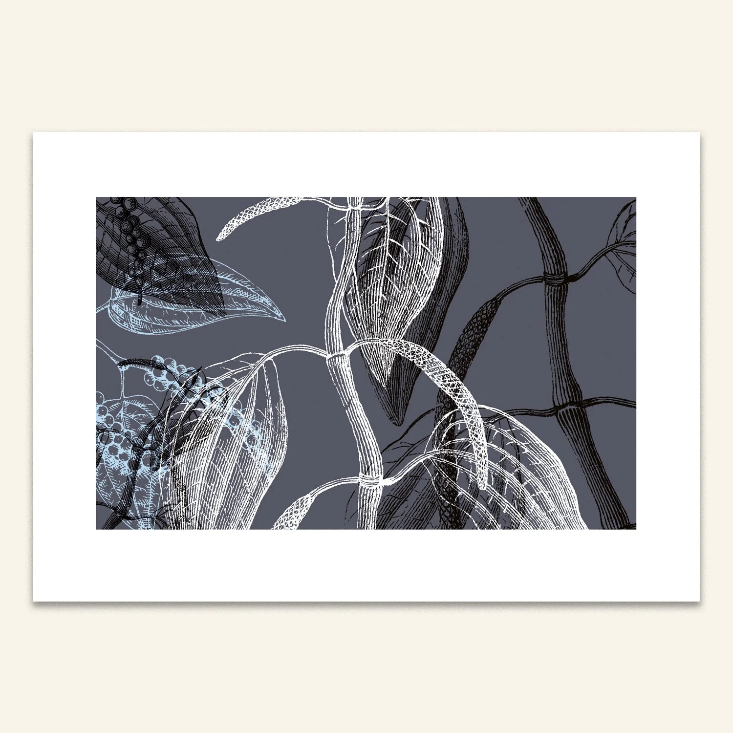 Carte A5 - Poivre — vue 2