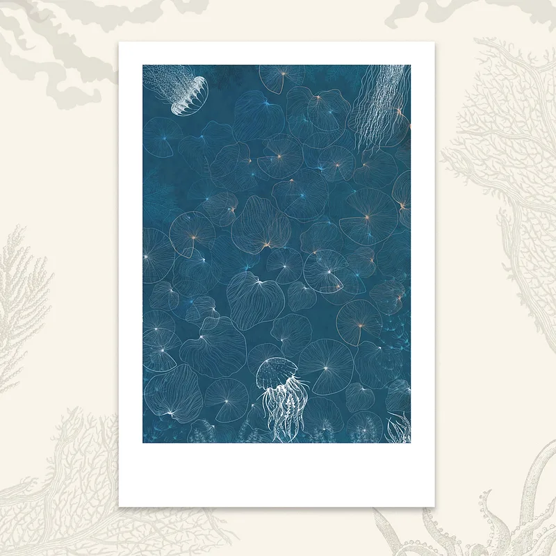 Les fonds marins - Méduse #1, 