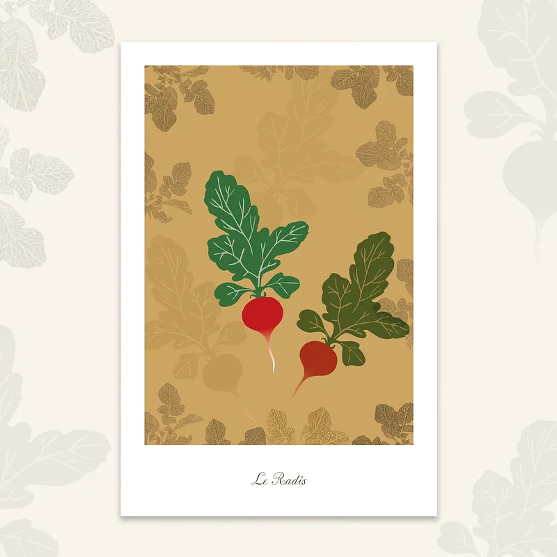 Le potager - Radis, 