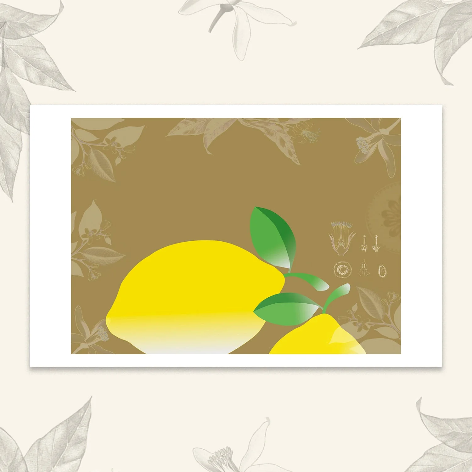 Les fruits - Citrons