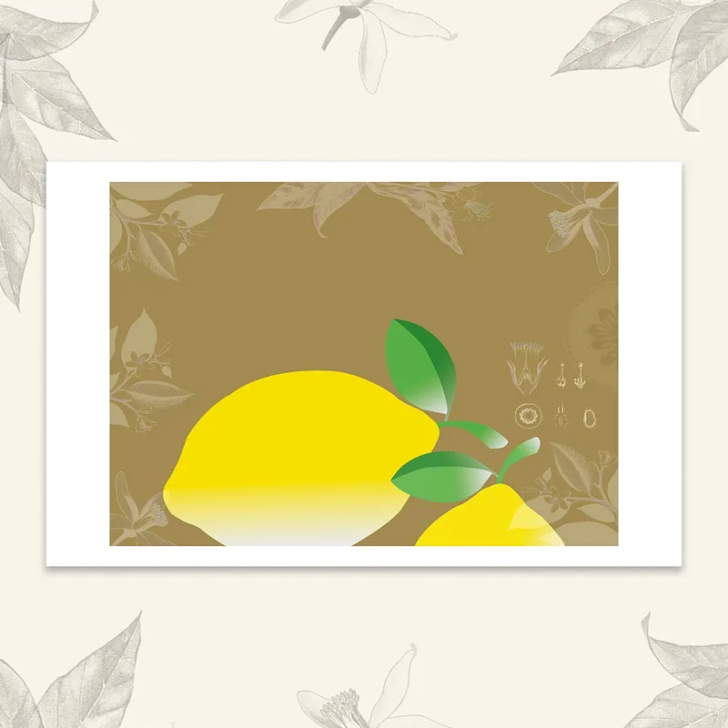 Un aperçu de la série Les fruits