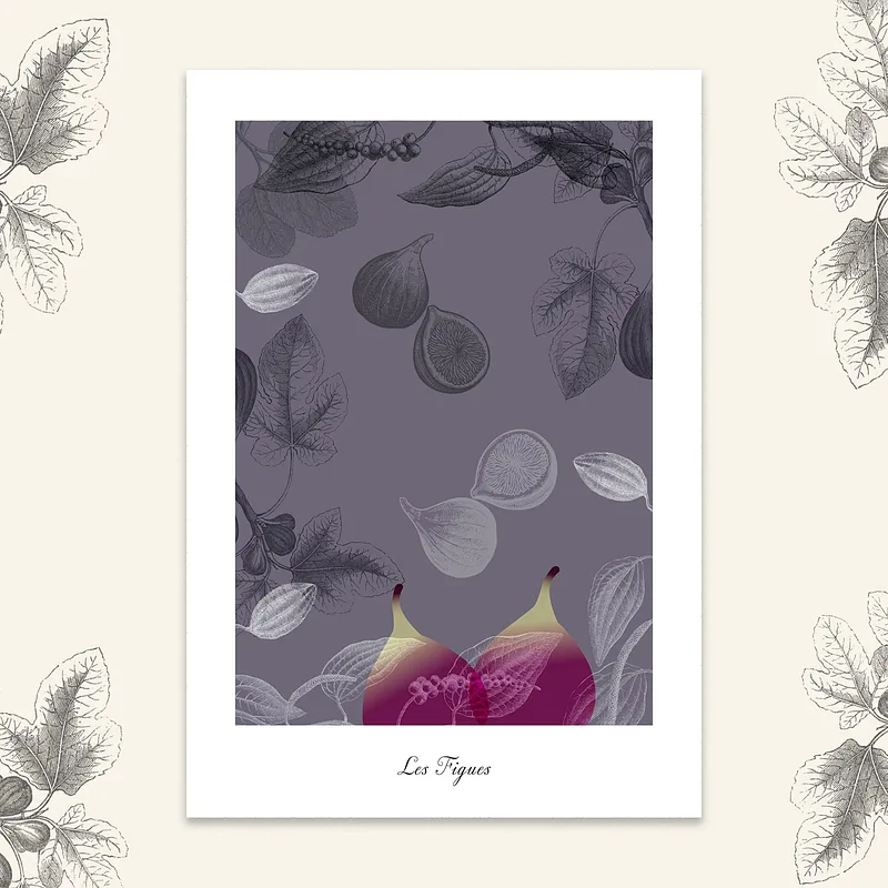 Les fruits - Figues, 