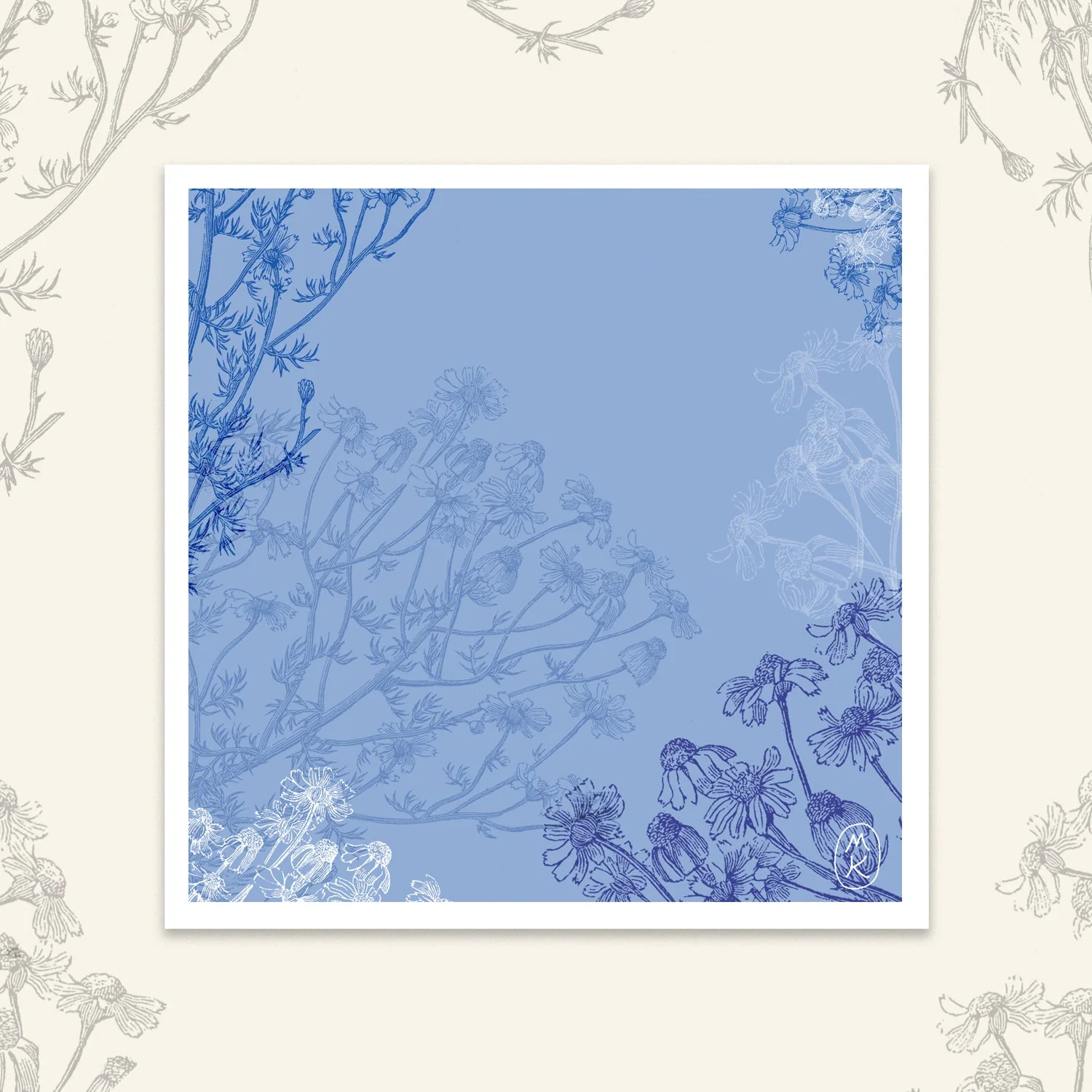 Carte Carrée - Camomille bleue