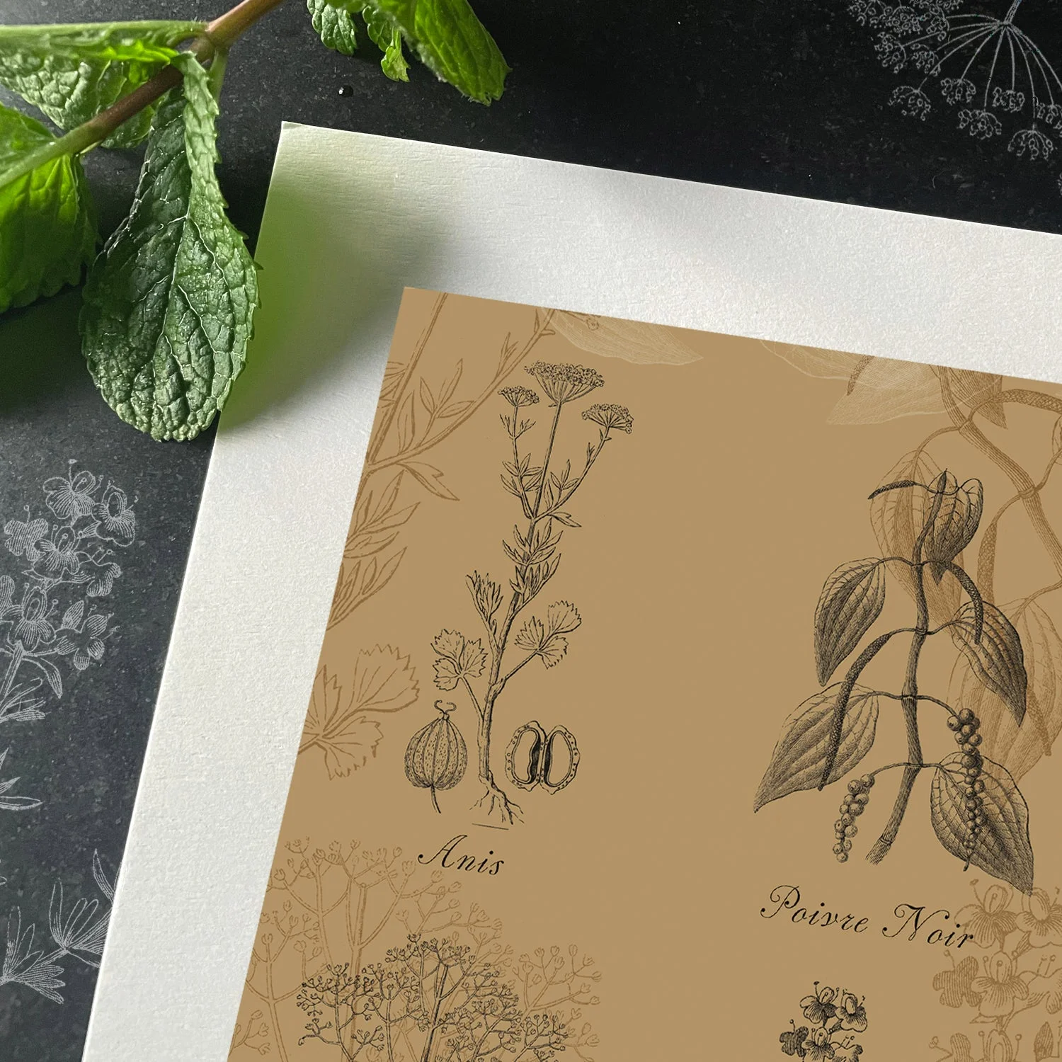 Aromates — vue 3