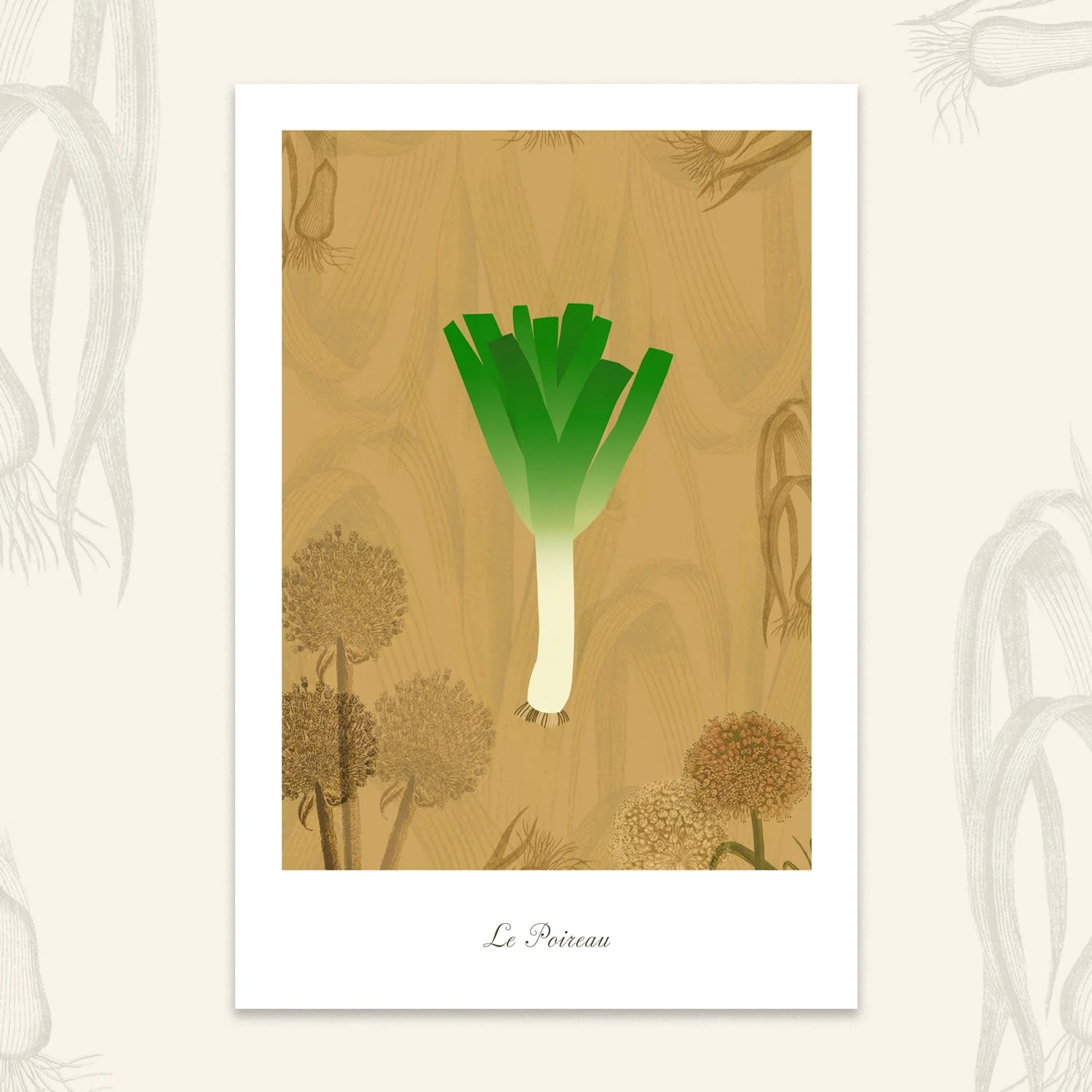 Le potager - Poireau
