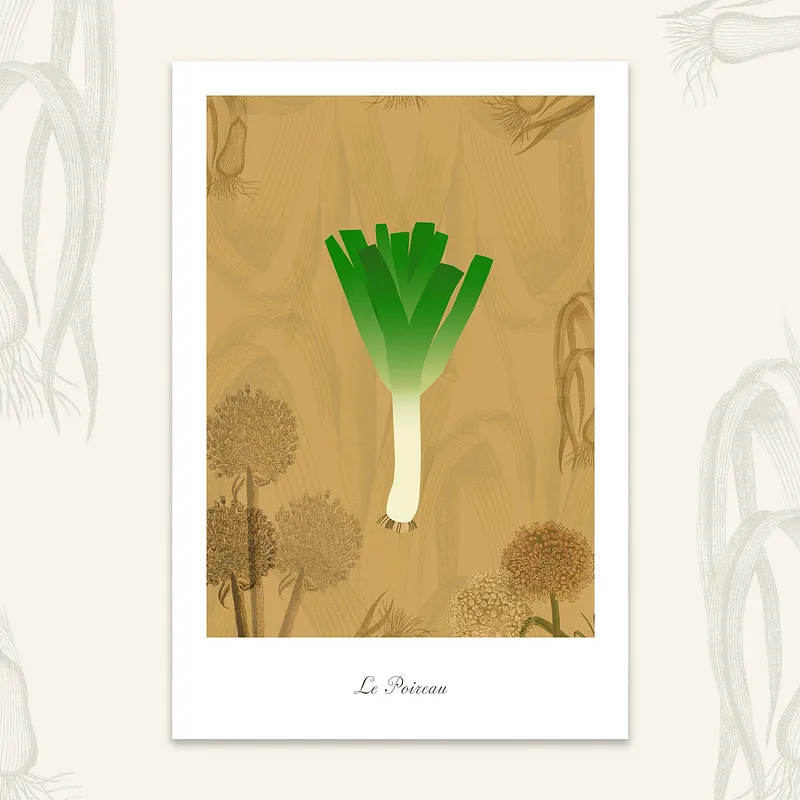 Le potager - Poireau, 