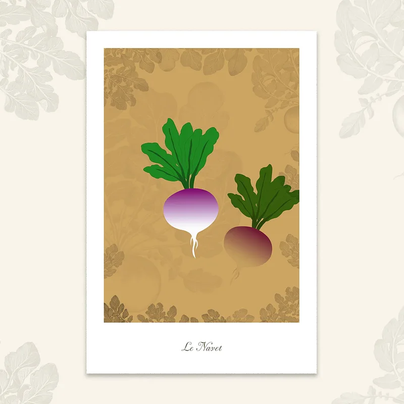 Le potager - Navets, 