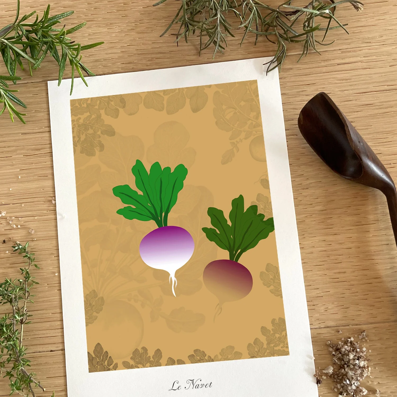 Le potager - Navets — vue 4