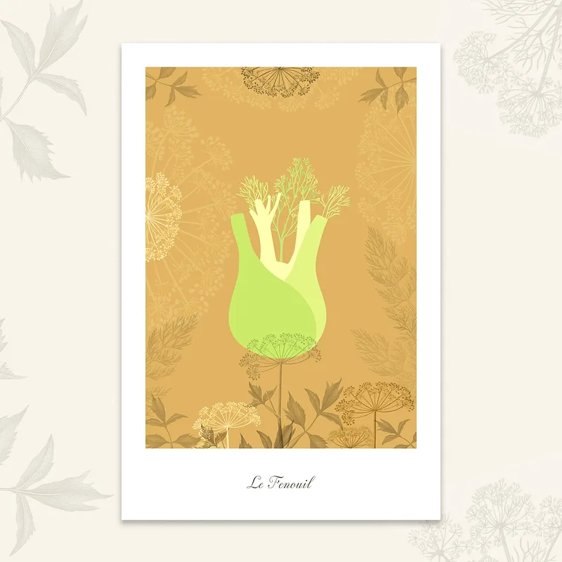 Le potager - Fenouil, 