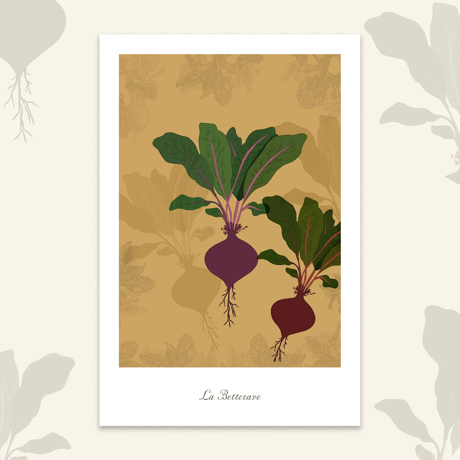 Le potager - Betterave