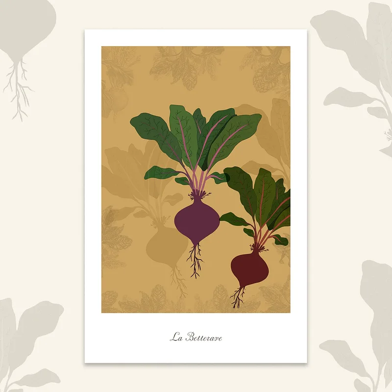 Le potager - Betterave, 