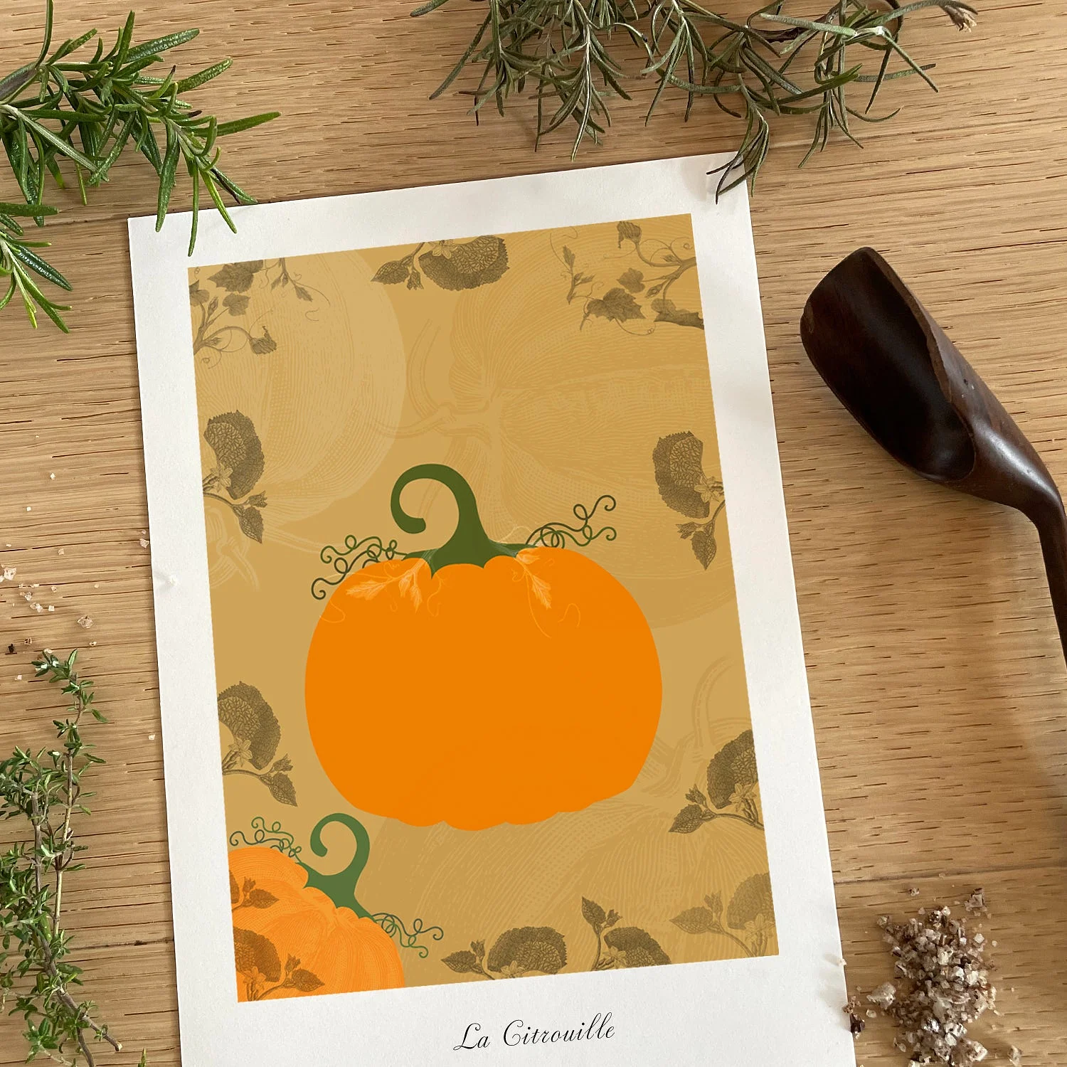 Le potager - Citrouilles — vue 4