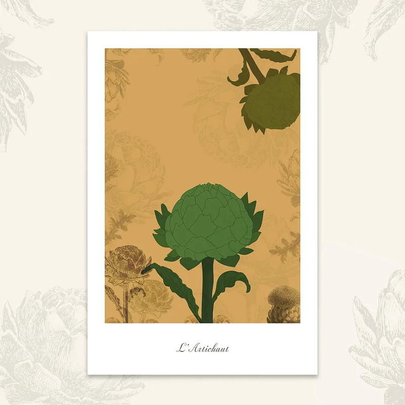 Le potager - Artichaut, 