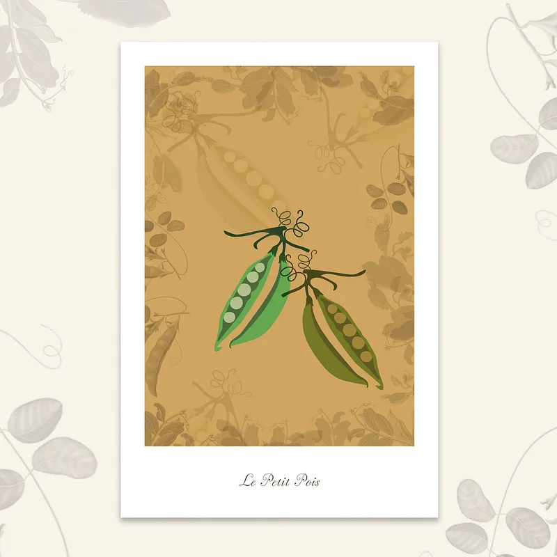 Le potager - Petit pois, 