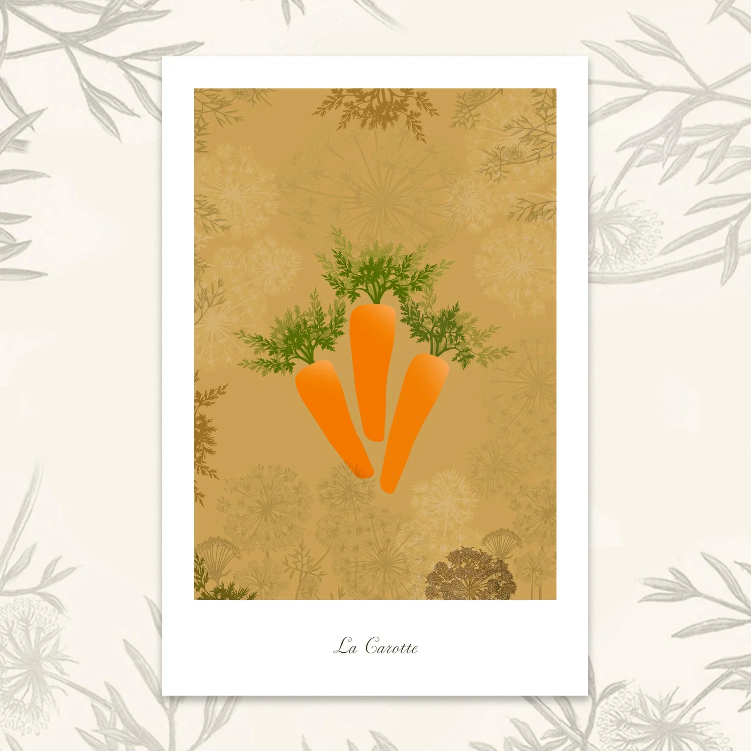Le potager - Carottes