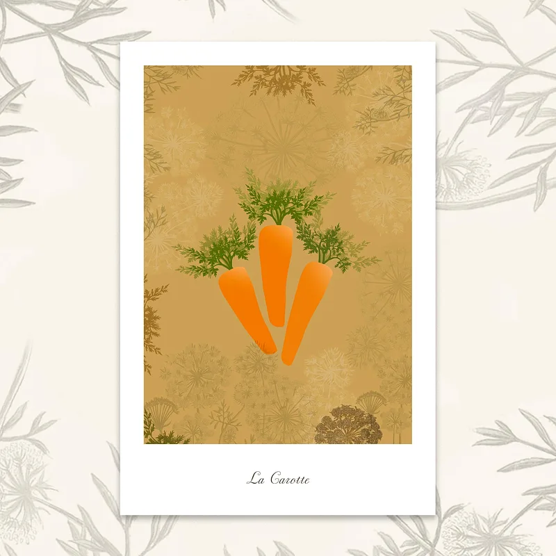 Le potager - Carottes, 