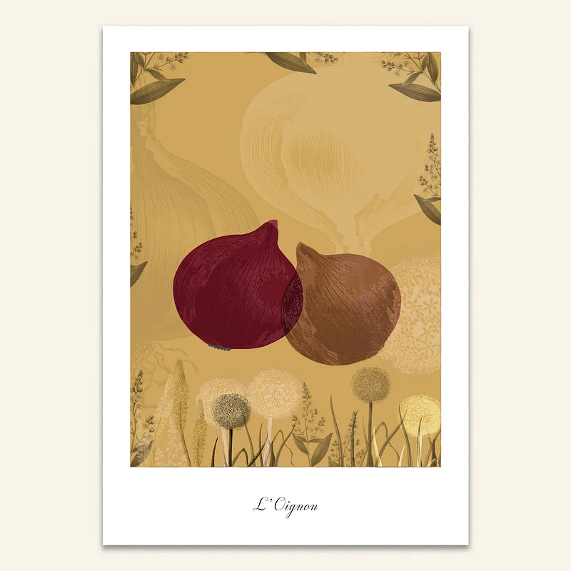 Carte A5 - Oignon, 